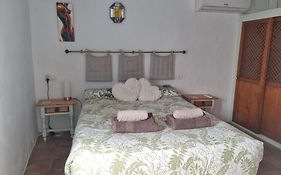 Casa David
